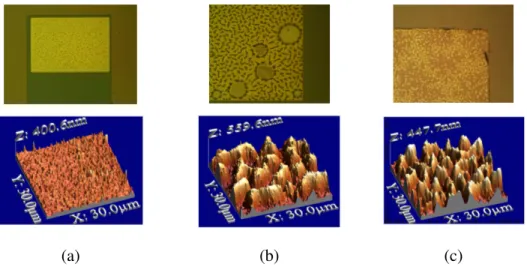 Figura 2.11:  immagine e morfologia della superficie del contatto ohmico realizzati nelle  condizioni: (a) con riscaldamento non rapido a 850°C