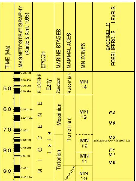 Fig. 1.4: Geocronologia, cronostratigrafia e biocronologia a mammiferi per il Miocene Superiore con  ubicazione dei livelli fossiliferi del bacino di Baccinello-Cinigiano