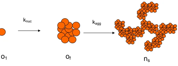 FIGURE 7  Schematic representation of the nucleation-aggregation process. The monomers  o 1  form protein oligomers o f  that act as a nucleus to direct the further growth of aggregates n s 