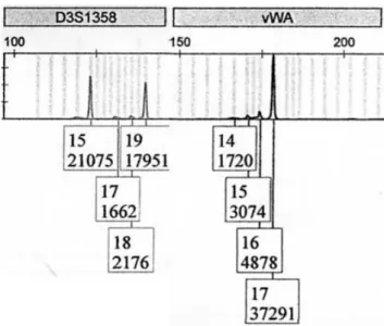 Figure 5.3: Mix-E, markers D3 and vWA with stutters 18 in D3 and 15 in vWA.