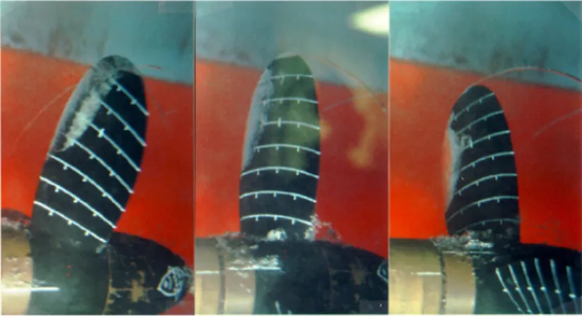 Figure 3.6: Naval propeller under cavitating conditions. Photograph courtesy of S.A Kinnas, MIT’s Variable Pressure Water Tunnel (1996).