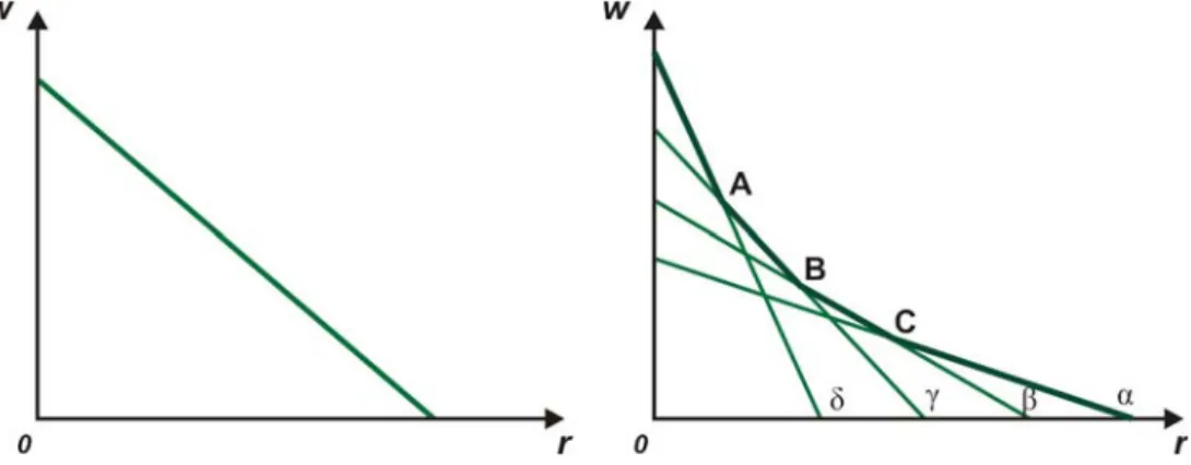 Figure 4.1: A straight wage-curve and a family of straight wage-curves 