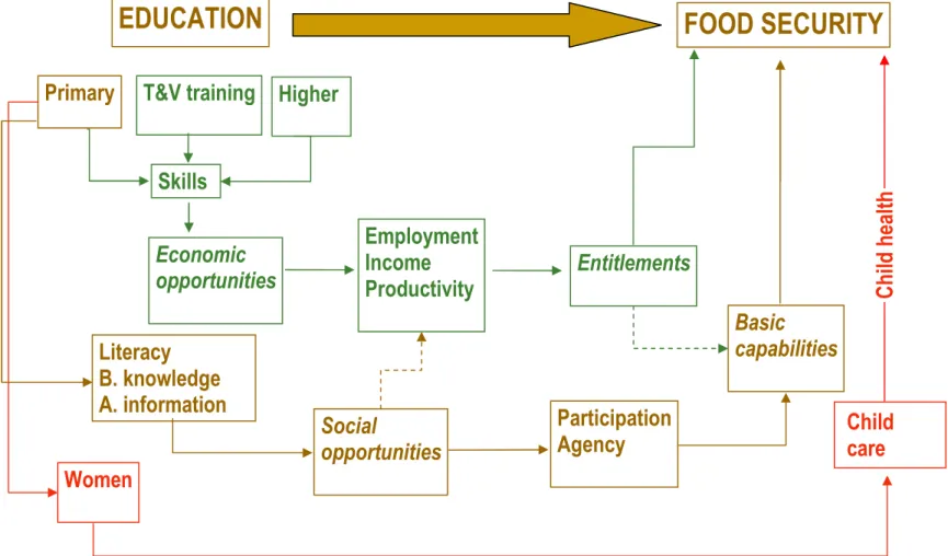 Diagram 2. Direct and Indirect Contributions of Education to Food Security 