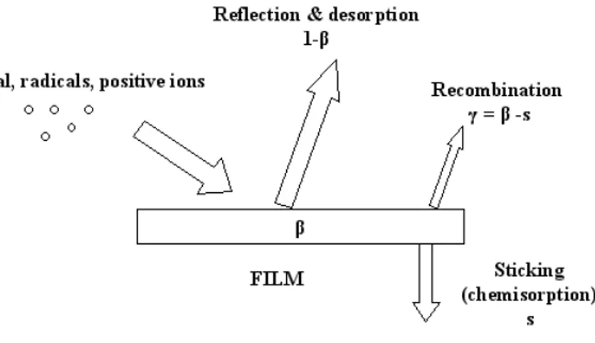 Figura 9: Schema delle reazioni di interazione di radicali e specie neutre con la  superficie del film, in una reazione in plasma