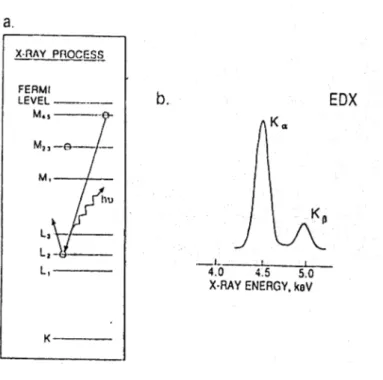 Figura  11:  a)  Processo  dell’eccitazione  elettronica  per  l’atomo  di  Titanio;  b)  Spettro EDS per il titanio, ottenuto mediante detector Si(Li)