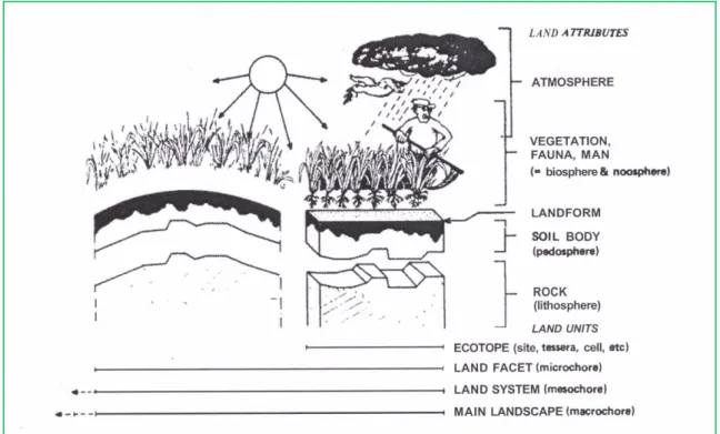 Fig. 1.5- Eterogeneità verticale ed orizzontale del paesaggio, oggetto di studio della landscape  ecology (da Zonneveld, 1989).