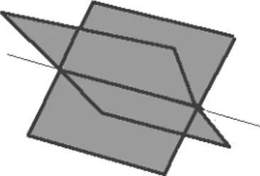 Figure 2.3: In a 4d triangulation an edge bounds 4 faces