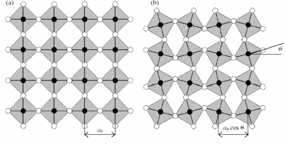 Figure 2.9: (a) A square lattice of rigid M O 4 units. Full circles:M; empty circles:O