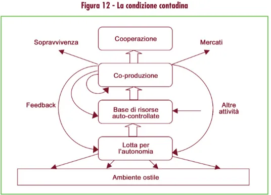 Figura 12 - La condizione contadina