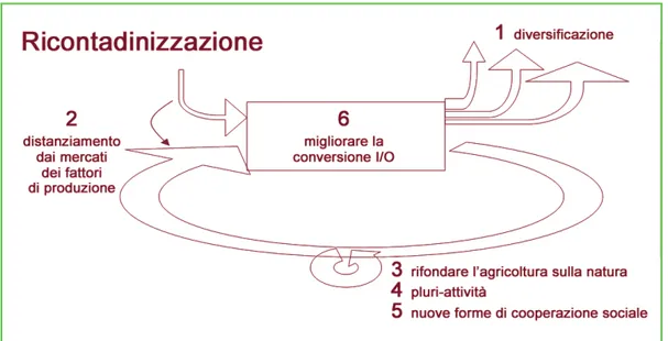 Figura 13 - Modello di agricoltura contadina