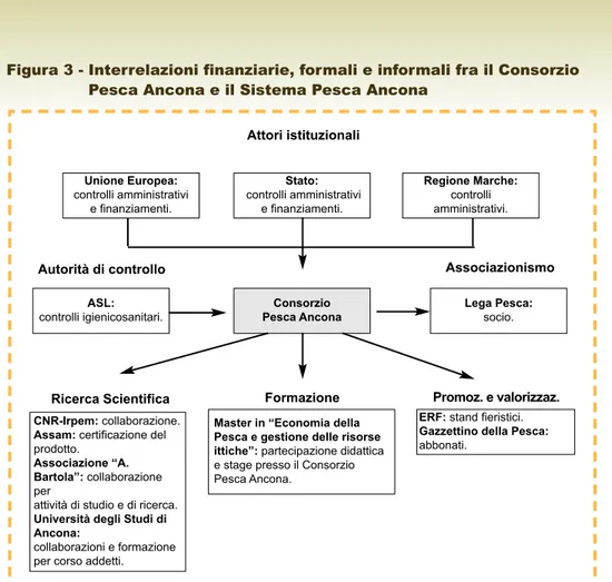 Figura 3 - Interrelazioni finanziarie, formali e informali fra il Consorzio Pesca Ancona e il Sistema Pesca Ancona