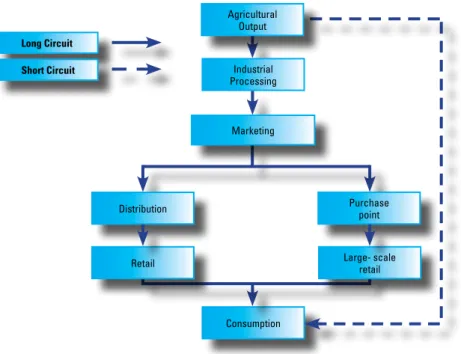 Figure 1 - The supply chain