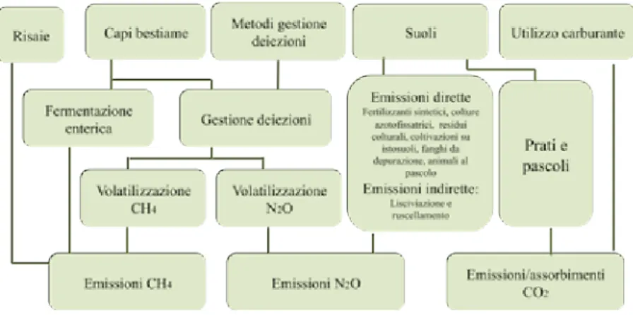 Figura 2 - Le principali direttrici della formazione delle emissioni di metano e  protossido di azoto dall’allevamento di bestiame e gestione dei suoli agricoli