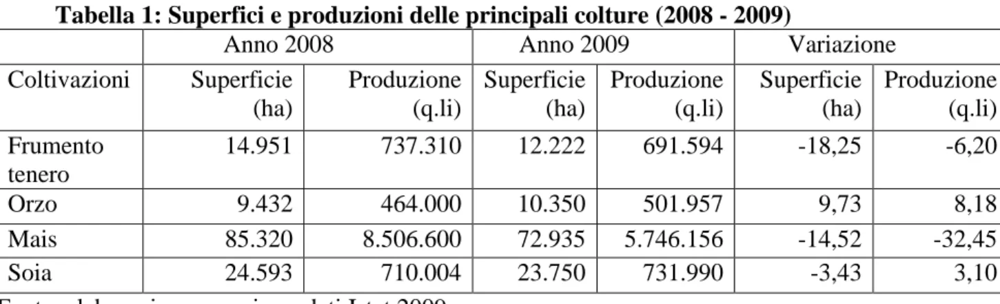 Tabella 1: Superfici e produzioni delle principali colture (2008 - 2009) 