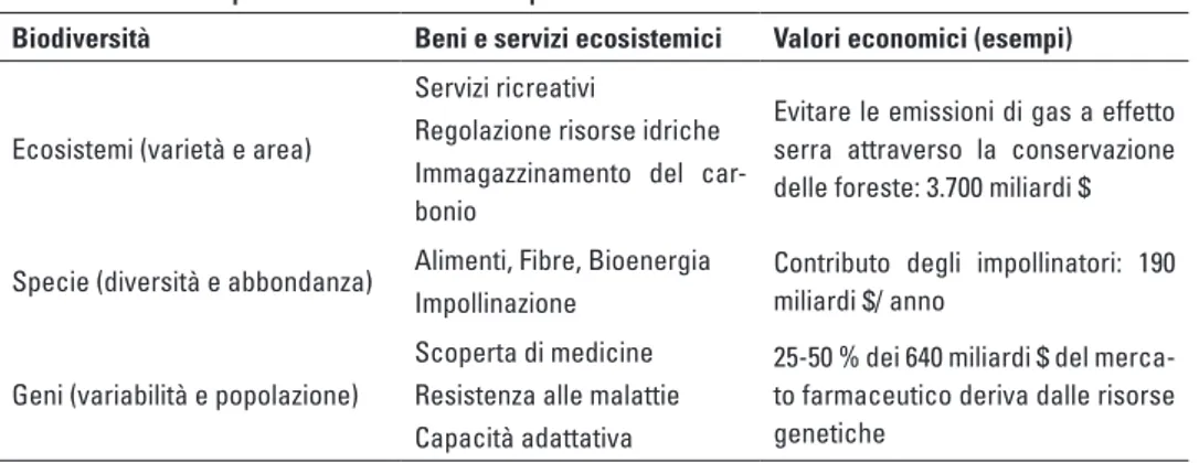 Tabella 1.1 – Capitale naturale: componenti e relativi servizi