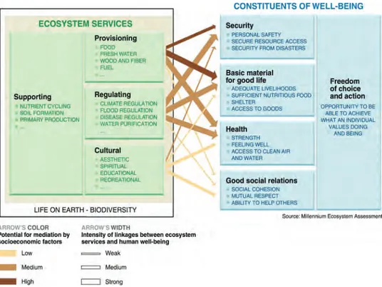 Fig. 1.1 - Legami tra servizi ecosistemici e benessere umano