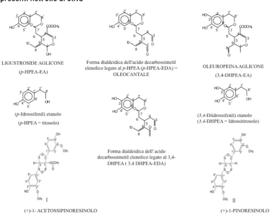 Figura 1 - Formule di struttura dei derivati dei secoiridoidi e degli alcoli fenolici  presenti nell’olio di oliva