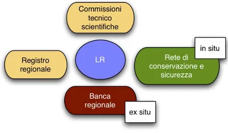 Figura 1.8.1. I principali elementi delle leggi regionali (LR) di tutela delle RGV 