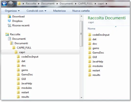 Figura 10 - Il contenuto della cartella CAPRI