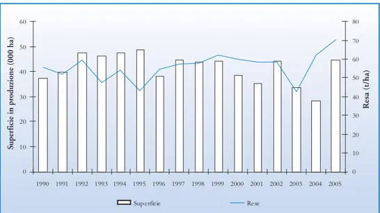 Fig. 4.5 - Andamento delle superfici e delle rese della barbabietola da zucchero nel Veneto nel periodo 1990-2005