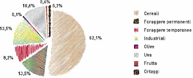 Figura 4: Distribuzione della SAU per classi di superficie in FVG 2007 (%)