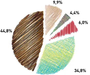 Figura 9: Consumi intermedi dell’agricoltura in FVG 2011 (%)