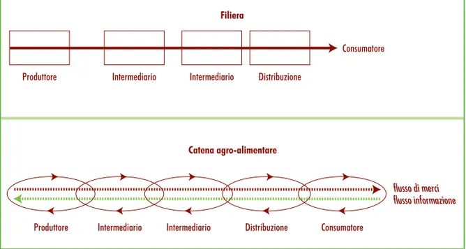 Figura I.2 - Rappresentazione grafica della nozione di filiera e di catena agro-alimentare