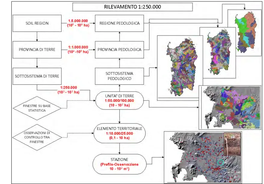 Figura 4.4 – Schema concettuale del rilevamento per il progetto “Carta dei Suoli in scala 1:250.000” 