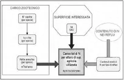 Figura 3.1 - Schema procedurale di calcolo del carico di azoto da fertilizzazione organica (Aquanet 2004: modificato) 