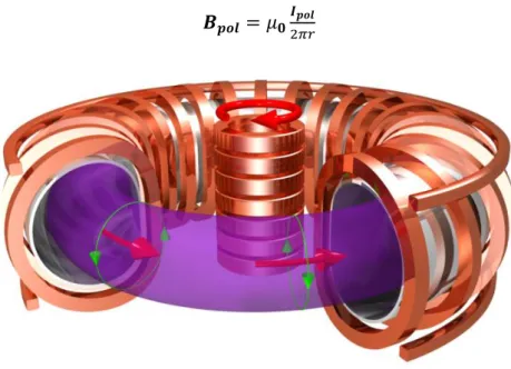 Figura 8 - Campo di Induzione prodotto dalla corrente poloidale 