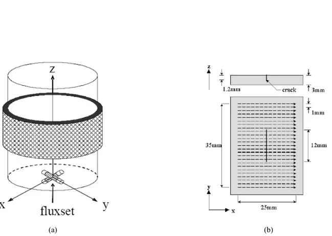 Figura 2.1 Soluzione adottata: (a) sonda Fluxset bidimensionale; (b) analisi di mappe di campo 
