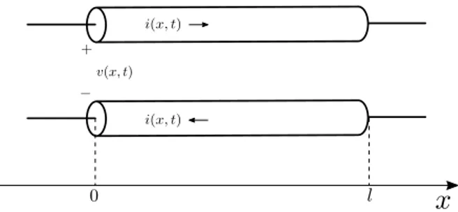 Figure 2.1: Transmission line composed by two wires