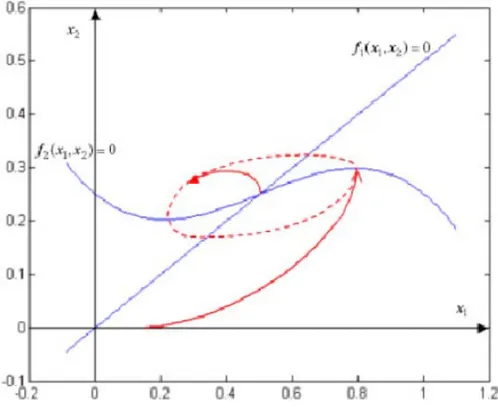 Figura 1.3b: Convergenza delle traiettorie verso un attrattore periodico nello spazio di stato 
