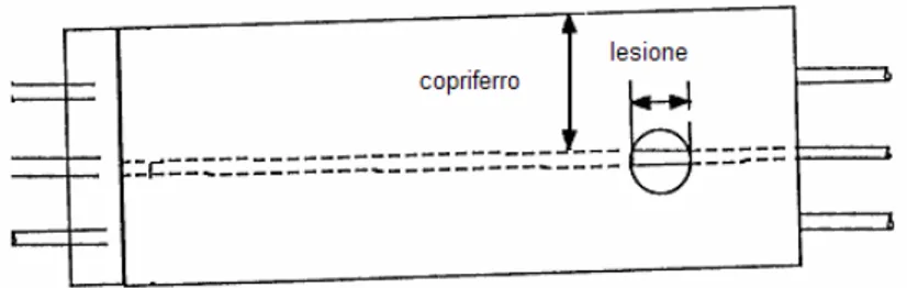 Figura 2.2.  Geometria della struttura in cemento armato. 