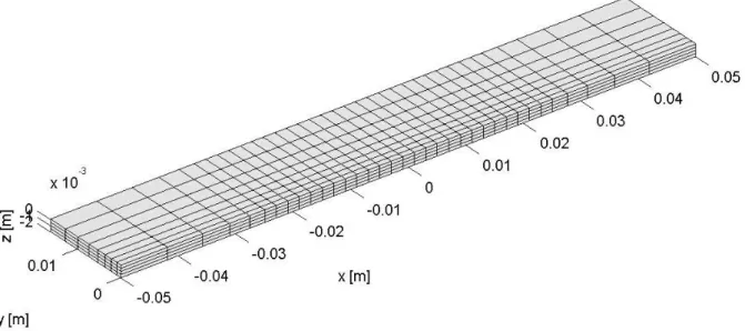 figura 5.8 mesh imperturbata di una piastra con cricca da 3 mm realizzata sfruttando la simmetria 