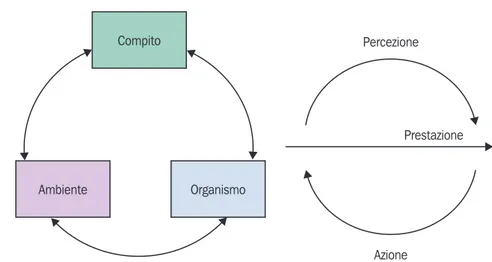 Figura 2 – L’approccio dinamico: l’interazione compito-ambiente-organismo ed il collegamento per- per-cezione-azione.