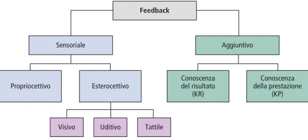 Figura 7 Il feedback