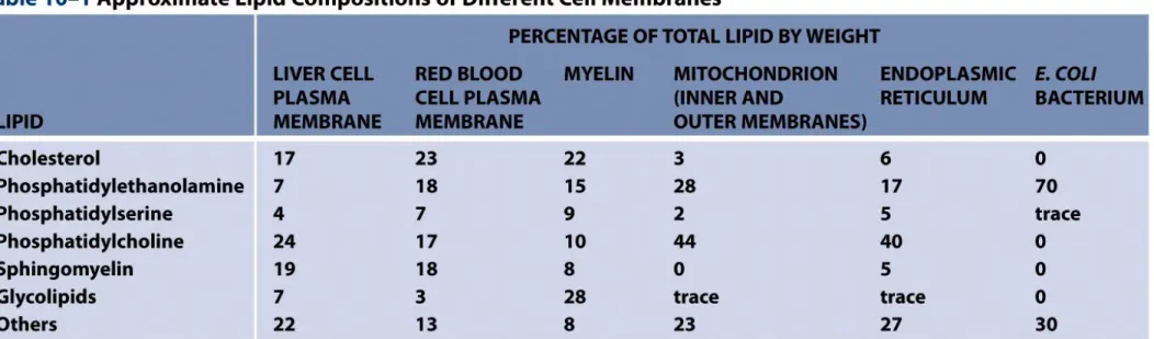 Table 10-1  Molecular Biology of the Cell (© Garland Science 2008)