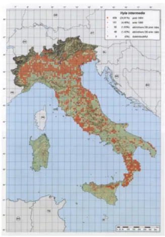 Fig. 3.1.Distribution map of H.  intermedia (from  Sindaco et al., 2006) 