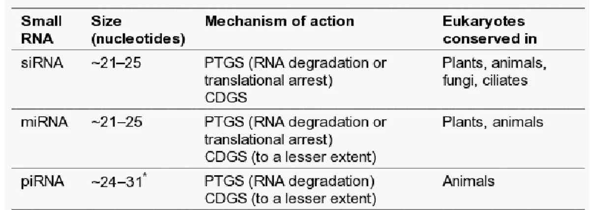 Table 2. Conservation of small-RNA silencing pathways in eukaryotes. All three of the major RNA silencing 