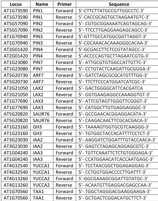 Table 8: Primers used in qRT-PCR for leaf development genes. 