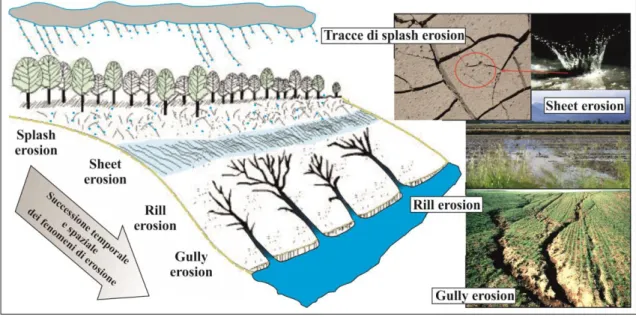 Fig. 1-5 Rappresentazione schematica dei principali fenomeni di erosione su versanti.