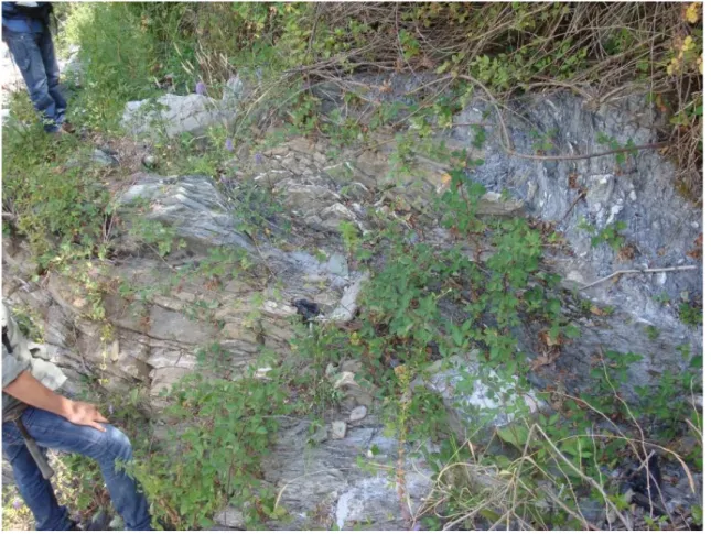 Figure 4 Grey phillites quarzite and meta-limestone alterncance due to sub-vertical isoclinal folds