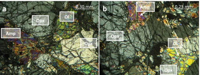 Figura 24: effetti a scala microscopica del primo evento d’interazione fuso-roccia. (a) cristalli millimetrici di  olivina  ed  anfibolo  nelle  anse  di  corrosione  di  ortopirosseni  in  una  ortopirossenite  olivinica;  (b)  struttura  reattiva in cui 