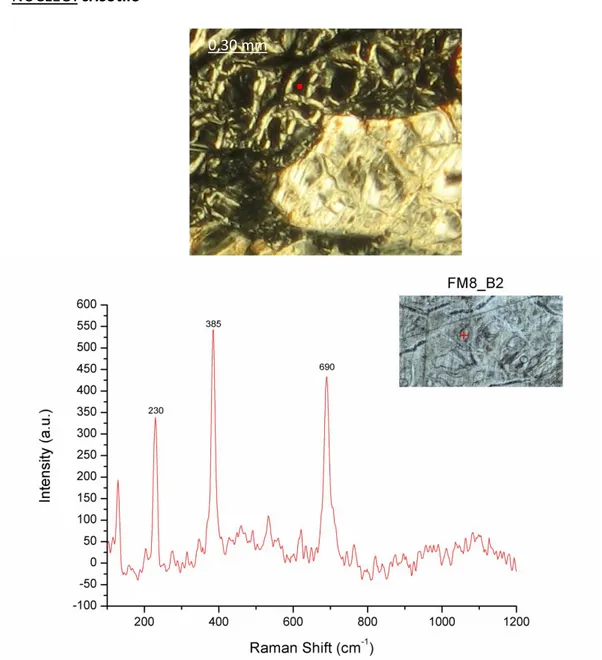 Figura 35: spettro Raman ottenuto su un cristallo di crisotilo al nucleo di strutture net-like (serpentinite  dell’Unità della Sila).