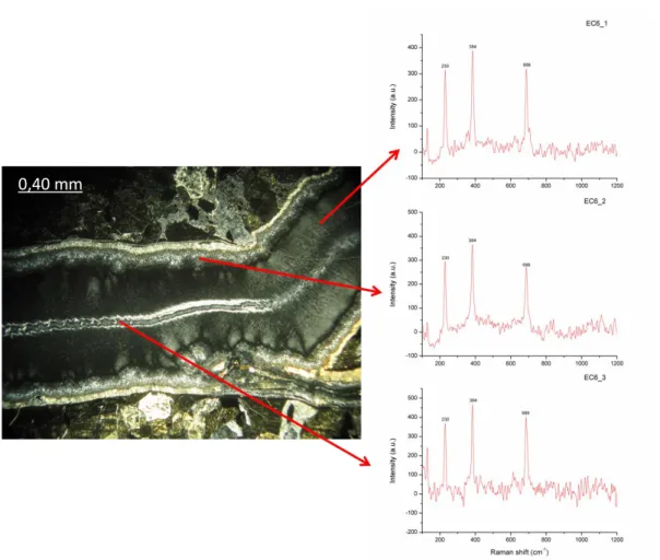 Figura 43: spettri Raman ottenuti su cristalli di criotilo in posizione assiale e laterale di  una vena in un campione di websterite