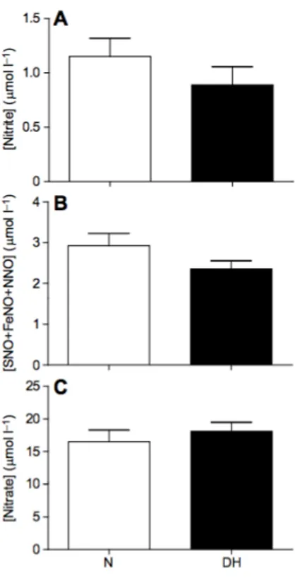 Fig. 10. Plasma NO metabolites in normoxic and deeply hypoxic crucian carp. 