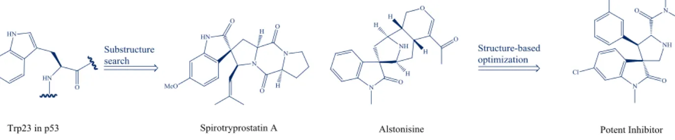 Figure  3.4  Spirotryprostatin  and  alstonisine-based  design  of  potent  inhibitors  of  p53-MDM2 