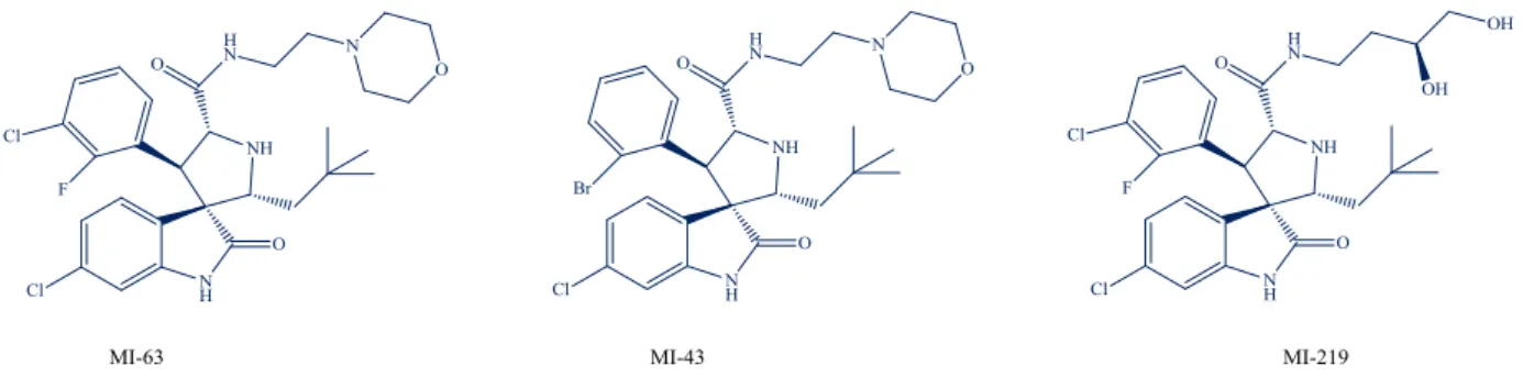 Figure 3.6 New inhibitors that capture the interaction between Leu22 in p53 and MDM2. 