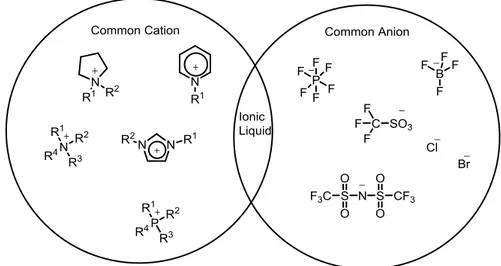 Figure 1.2  Schematic Presentation Of Ionic Liquid 